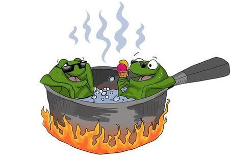 frog in boiling water